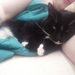 Meet your Posher, Adella